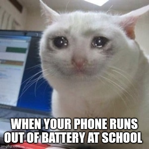 Crying cat | WHEN YOUR PHONE RUNS OUT OF BATTERY AT SCHOOL | image tagged in crying cat | made w/ Imgflip meme maker
