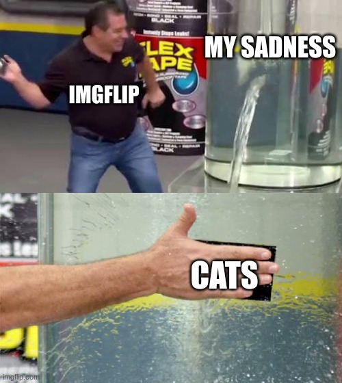 Funny | MY SADNESS; IMGFLIP; CATS | image tagged in flex tape | made w/ Imgflip meme maker