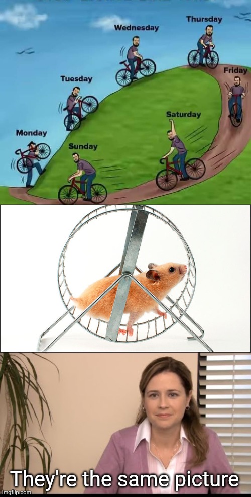 Round and round we go... | They're the same picture | image tagged in hamster on wheel,they're the same picture,weekend,life,cycle,rat race | made w/ Imgflip meme maker