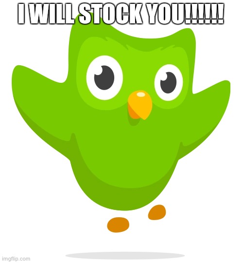 I will stock you | I WILL STOCK YOU!!!!!! | image tagged in i will stock you | made w/ Imgflip meme maker