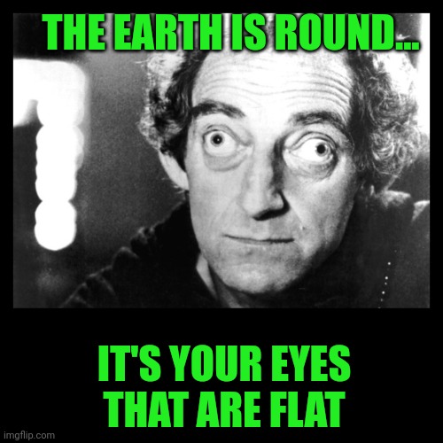 Marty Feldman | THE EARTH IS ROUND... IT'S YOUR EYES THAT ARE FLAT | image tagged in marty feldman | made w/ Imgflip meme maker
