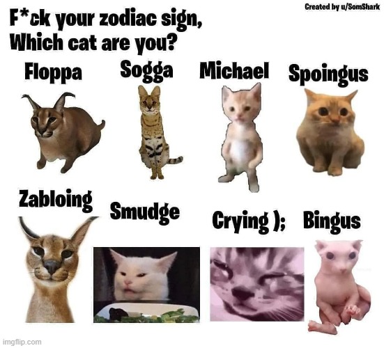 * | made w/ Imgflip meme maker