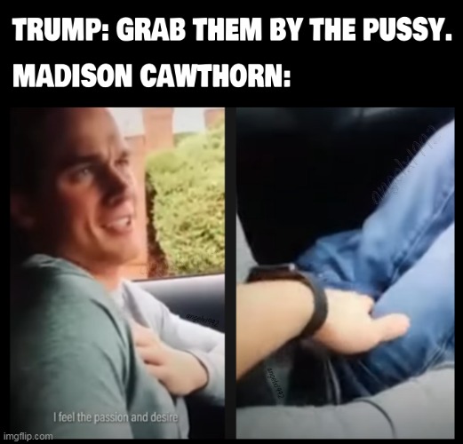 image tagged in clown car republicans,madison cawthorn,qanon,lgbtq,grab them by the pussy,trumpturds | made w/ Imgflip meme maker