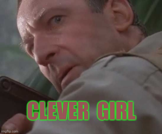 Clever girl  | CLEVER  GIRL | image tagged in clever girl | made w/ Imgflip meme maker
