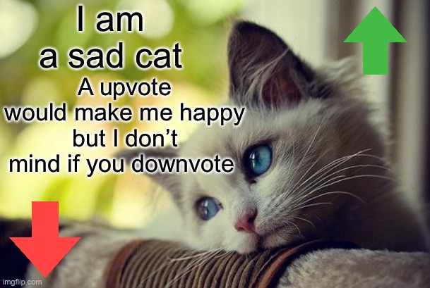 Y u read image title bro? | I am a sad cat; A upvote would make me happy but I don’t mind if you downvote | image tagged in memes,first world problems cat,begging for upvotes | made w/ Imgflip meme maker