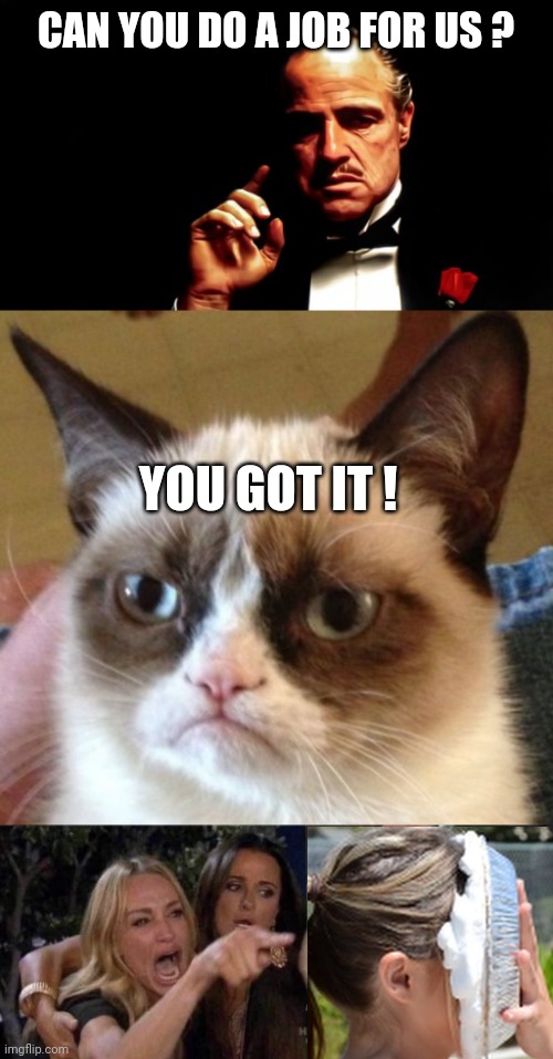 World Peace Achieved | CAN YOU DO A JOB FOR US ? YOU GOT IT ! | image tagged in godfather business,memes,grumpy cat,woman yelling at cat | made w/ Imgflip meme maker