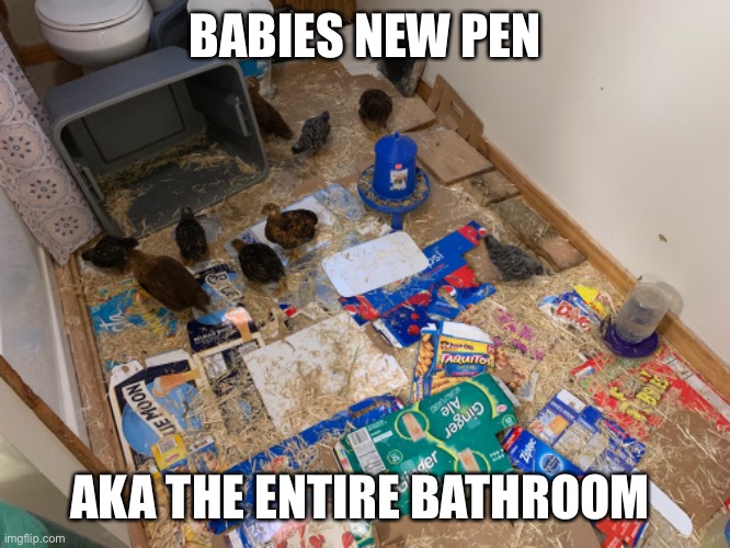 Now I can’t take a shower | BABIES NEW PEN; AKA THE ENTIRE BATHROOM | made w/ Imgflip meme maker