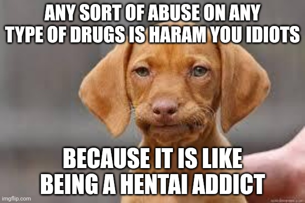 Disappointed Dog | ANY SORT OF ABUSE ON ANY TYPE OF DRUGS IS HARAM YOU IDIOTS BECAUSE IT IS LIKE BEING A HENTAI ADDICT | image tagged in disappointed dog | made w/ Imgflip meme maker