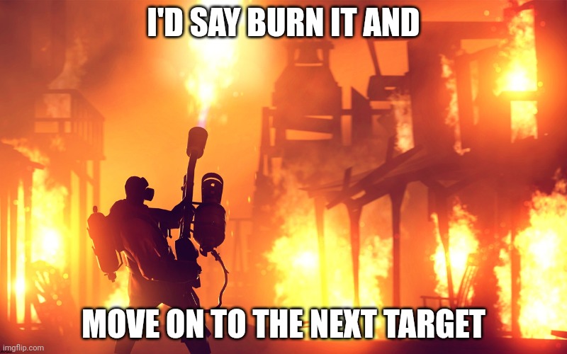 BURN IT DOWN | I'D SAY BURN IT AND MOVE ON TO THE NEXT TARGET | image tagged in burn it down | made w/ Imgflip meme maker