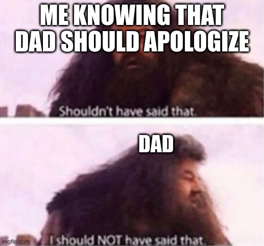 Dad accused me of something bad! | ME KNOWING THAT DAD SHOULD APOLOGIZE; DAD | image tagged in shouldn't have said that | made w/ Imgflip meme maker