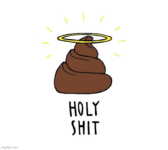Holy Shit | image tagged in holy shit | made w/ Imgflip meme maker