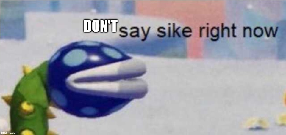 Say sike right now | DON'T | image tagged in say sike right now | made w/ Imgflip meme maker