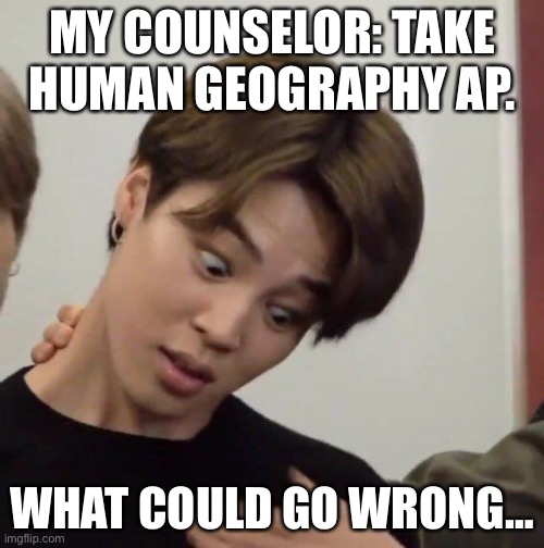 MY COUNSELOR: TAKE HUMAN GEOGRAPHY AP. WHAT COULD GO WRONG… | image tagged in kpop | made w/ Imgflip meme maker