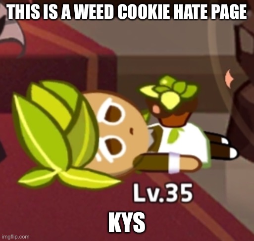 Herb Cookies Lying | THIS IS A WEED COOKIE HATE PAGE; KYS | image tagged in herb cookies lying | made w/ Imgflip meme maker