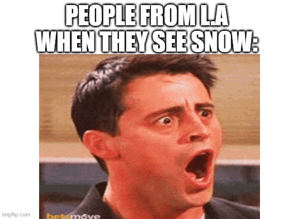 L.A be like | PEOPLE FROM L.A WHEN THEY SEE SNOW: | image tagged in fun,weather,los angeles | made w/ Imgflip meme maker