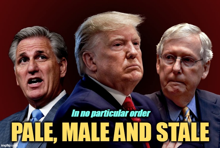 Throw the bums out. | In no particular order; PALE, MALE AND STALE | image tagged in mccarthy trump mcconnell evil bad for america,trump,mitch mcconnell,mean,old,incompetence | made w/ Imgflip meme maker