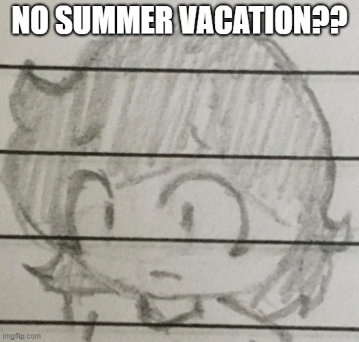 lmao it's already summer vacation for me | NO SUMMER VACATION?? | image tagged in jemy no ____ | made w/ Imgflip meme maker