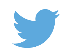 Twitter bird Blank Meme Template