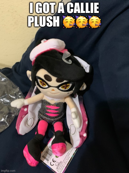 I couldn’t find a Pearl plush | I GOT A CALLIE PLUSH 🥳🥳🥳 | made w/ Imgflip meme maker