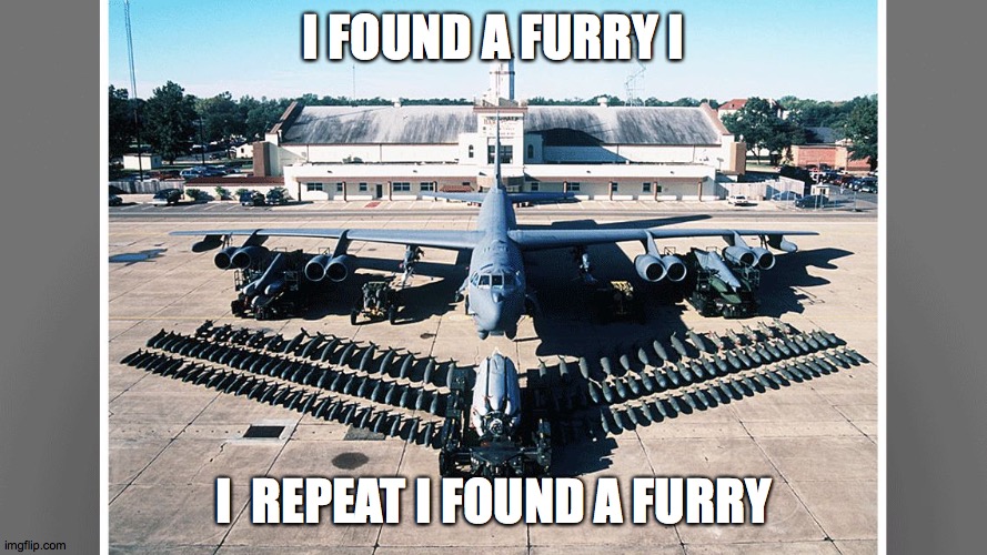 this is not a drill i repeat this is not a drill | I FOUND A FURRY I; I  REPEAT I FOUND A FURRY | image tagged in b-52 and bombs | made w/ Imgflip meme maker
