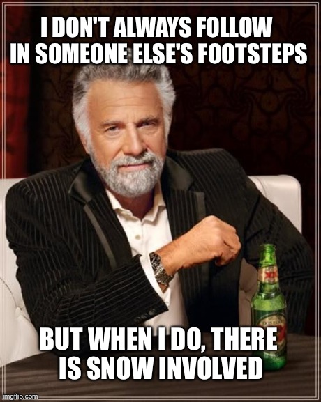 The most interesting man in the world doesn't like snow either... | I DON'T ALWAYS FOLLOW IN SOMEONE ELSE'S FOOTSTEPS BUT WHEN I DO, THERE IS SNOW INVOLVED | image tagged in memes,the most interesting man in the world,lol | made w/ Imgflip meme maker