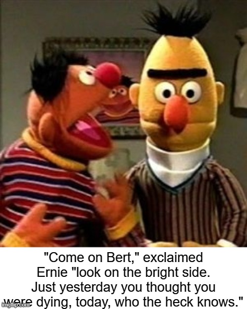 Ernie and Bert | "Come on Bert," exclaimed Ernie "look on the bright side. Just yesterday you thought you were dying, today, who the heck knows." | image tagged in ernie and bert | made w/ Imgflip meme maker