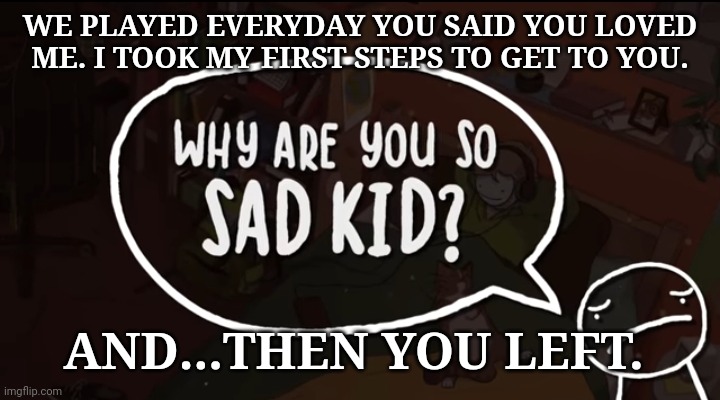 Why are you so sad kid | WE PLAYED EVERYDAY YOU SAID YOU LOVED ME. I TOOK MY FIRST STEPS TO GET TO YOU. AND...THEN YOU LEFT. | image tagged in why are you so sad kid | made w/ Imgflip meme maker