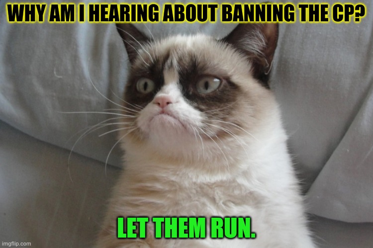 http://www.zastavki.com/pictures/originals/2013/Animals___Cats_G | WHY AM I HEARING ABOUT BANNING THE CP? LET THEM RUN. | image tagged in memes,imgflip,presidents,ban,conservatives,why | made w/ Imgflip meme maker
