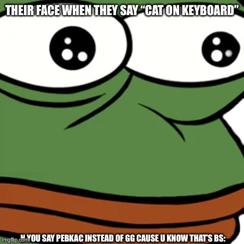 MonkaW | THEIR FACE WHEN THEY SAY “CAT ON KEYBOARD”; N YOU SAY PEBKAC INSTEAD OF GG CAUSE U KNOW THAT’S BS: | image tagged in pebkac,cat on keyboard,pepe the frog,monkaw | made w/ Imgflip meme maker