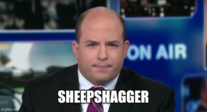 Brian Stelter | SHEEPSHAGGER | image tagged in brian stelter | made w/ Imgflip meme maker