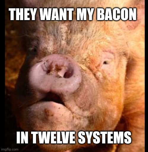 Bounty bacon |  THEY WANT MY BACON; IN TWELVE SYSTEMS | image tagged in ugly pig,star wars,bacon | made w/ Imgflip meme maker