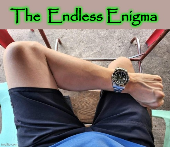 Enigma | The  Endless Enigma | image tagged in mixels | made w/ Imgflip meme maker