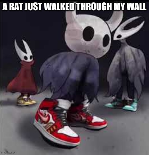 Hollow Knight Drip | A RAT JUST WALKED THROUGH MY WALL | image tagged in hollow knight drip | made w/ Imgflip meme maker