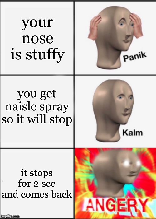 snot in da nose | your nose is stuffy; you get naisle spray so it will stop; it stops for 2 sec and comes back | image tagged in panik kalm angery,has this happened to you,because it did for me | made w/ Imgflip meme maker
