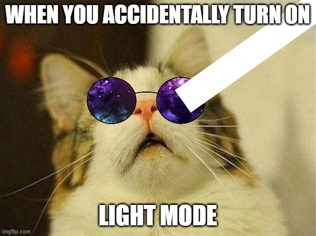 Light mode be like : | WHEN YOU ACCIDENTALLY TURN ON; LIGHT MODE | image tagged in memes,scared cat | made w/ Imgflip meme maker