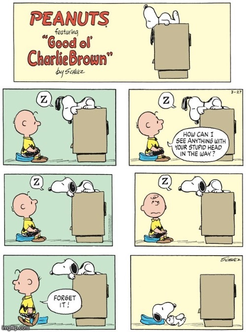 Daily Peanuts Comic Strip #10 | image tagged in peanuts,comics,classics,funny,charlie brown,snoopy | made w/ Imgflip meme maker
