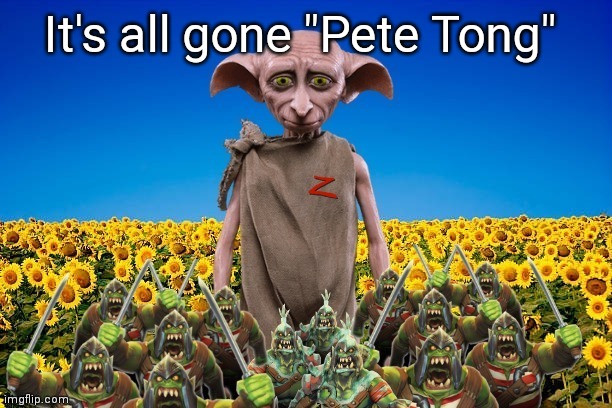 Its all going "Putin Tong" | It's all gone "Pete Tong" | image tagged in putin,dobby,ukraine,ww3,its not going to happen,nuclear war | made w/ Imgflip meme maker