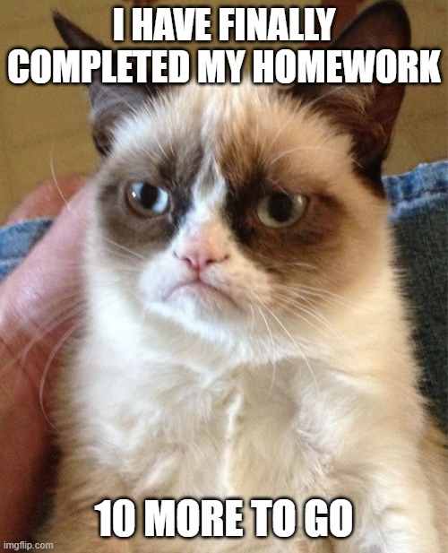 10 more, well that sucks |  I HAVE FINALLY COMPLETED MY HOMEWORK; 10 MORE TO GO | image tagged in memes,grumpy cat | made w/ Imgflip meme maker