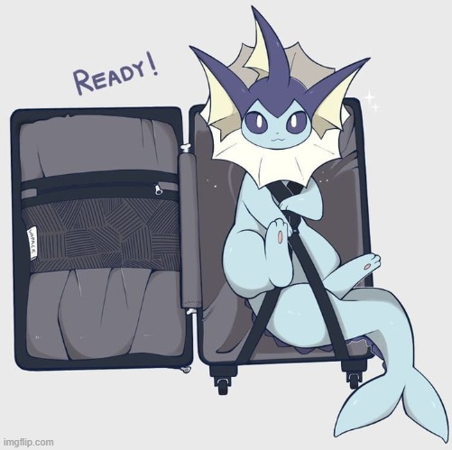 remember to only pack the essentials | image tagged in vaporeon | made w/ Imgflip meme maker