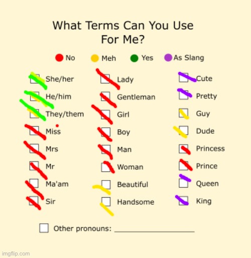 I dont even know what i made | image tagged in pronouns sheet | made w/ Imgflip meme maker