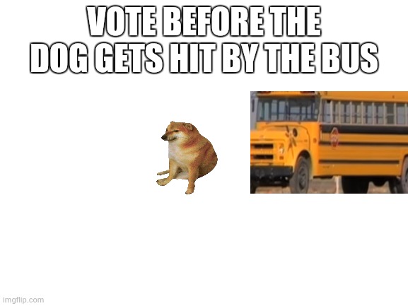 Blank White Template | VOTE BEFORE THE DOG GETS HIT BY THE BUS | image tagged in blank white template | made w/ Imgflip meme maker