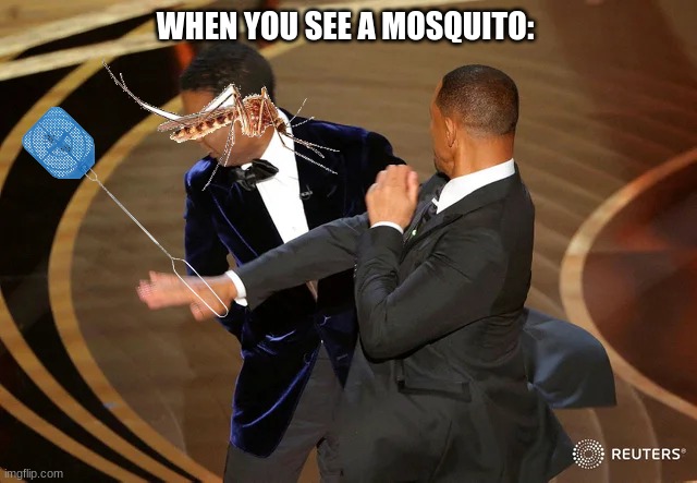 Will Smith punching Chris Rock | WHEN YOU SEE A MOSQUITO: | image tagged in will smith punching chris rock,funny,mosquito,bugs | made w/ Imgflip meme maker