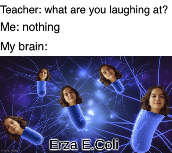 Erza Mu Coli | Erza E.Coli | image tagged in teacher what are you laughing at,memes,erza muqoli,kids united,ecoli,stop reading the tags | made w/ Imgflip meme maker