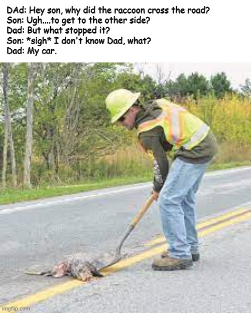 Ayo, Dad, is that raccoon brain on the headlights? | DAd: Hey son, why did the raccoon cross the road?
Son: Ugh....to get to the other side?
Dad: But what stopped it?
Son: *sigh* I don't know Dad, what?
Dad: My car. | image tagged in roadkill,raccoon,dark humor,hehehe,dad joke | made w/ Imgflip meme maker