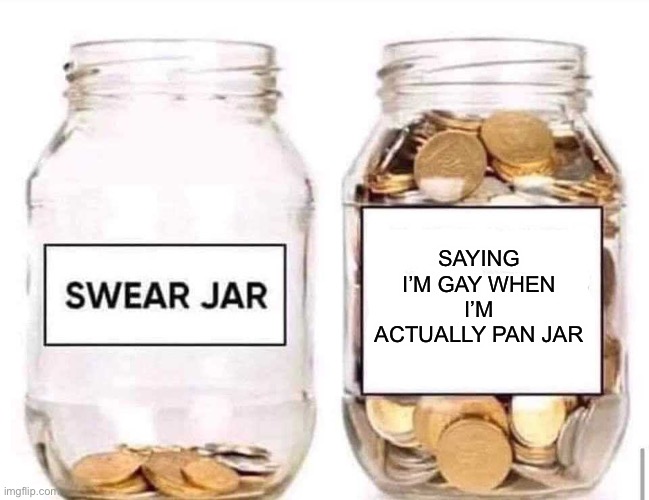 Can Anyone Else Relate? | SAYING I’M GAY WHEN I’M ACTUALLY PAN JAR | image tagged in swear jar | made w/ Imgflip meme maker