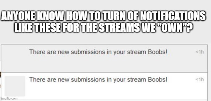 Question | ANYONE KNOW HOW TO TURN OF NOTIFICATIONS LIKE THESE FOR THE STREAMS WE "OWN"? | image tagged in question | made w/ Imgflip meme maker