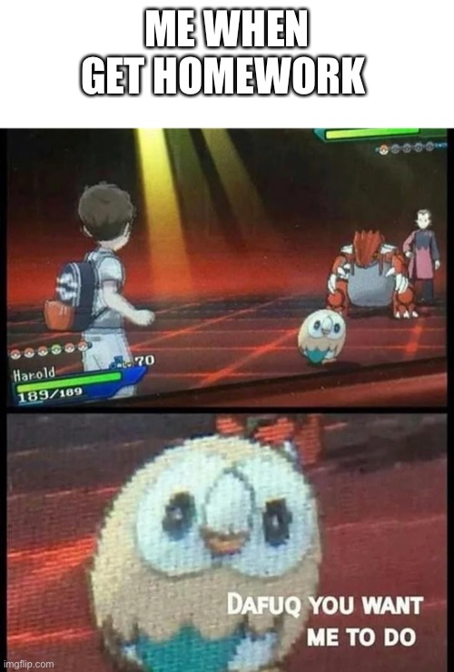 Rowlet Vs. Groudon | ME WHEN GET HOMEWORK | image tagged in rowlet vs groudon | made w/ Imgflip meme maker