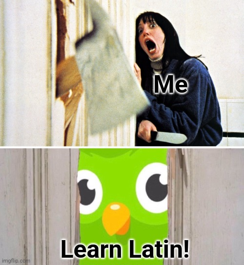Duo says learn Latin |  Me; Learn Latin! | image tagged in duolingo,evil duo,learn latin,psycho,axe,door | made w/ Imgflip meme maker