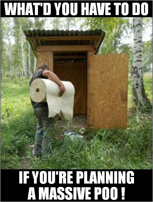 Poetry Of The Outdoor Toilet ! | WHAT'D YOU HAVE TO DO; IF YOU'RE PLANNING
A MASSIVE POO ! | image tagged in toilet humour,poetry | made w/ Imgflip meme maker