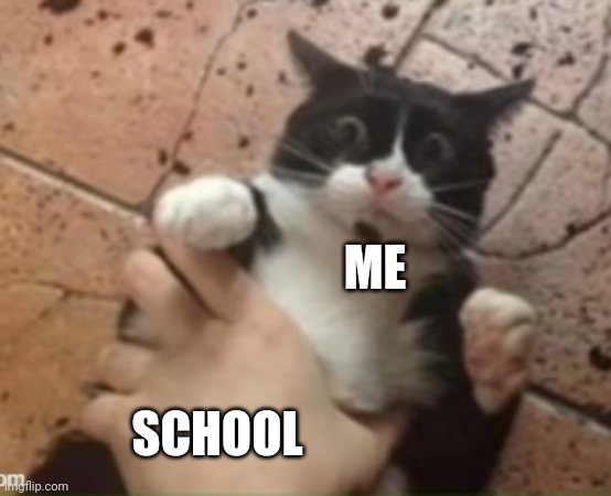 Cat getting grabbed | ME; SCHOOL | image tagged in cat getting grabbed | made w/ Imgflip meme maker